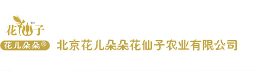 首頁―北京花仙子園藝―專業種子培育，批發零售各種花卉、花種、苗木