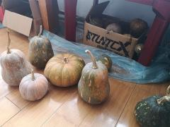 B體育·(sports)官方網站