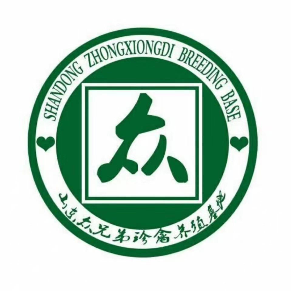 嘉祥縣眾兄弟養殖場_鴕鳥_矮馬品種_羊駝價格_黑天鵝養殖_梅花鹿養殖_萌寵樂園