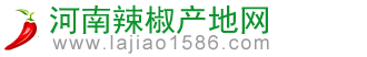 河南辣椒產地網-河南辣椒|河南花皮小辣椒|河南辣椒產地|河南三鷹椒八號|河南干辣椒|二紅辣椒|干綠椒|河南紅太陽辣椒|河南辣椒價格行情|河南朝天椒