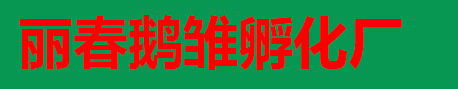 海豐鵝雛孵化(昌圖麗春鵝雛孵化廠)