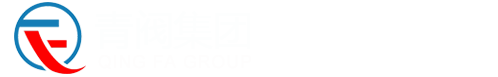 上海青閥閥門集團有限公司