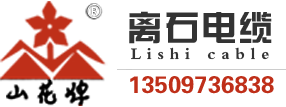山西離纜電纜有限公司