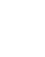 廬山市林盛石雕有限公司