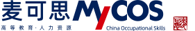 麥可思數據科技（成都）有限公司2010屆師資發展與保障評價系統