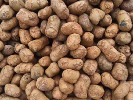 陶粒_南京浦昌建材陶?；炷?火山巖生產廠家