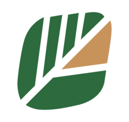 金棕櫚企業機構