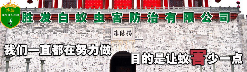 普寧白蟻防治,普寧白蟻預防,惠來白蟻防治-普寧勝發滅白蟻公司