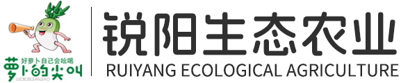 蘿卜的尖叫|殼寡糖水果蘿卜|青島銳陽生態農業科技開發有限公司