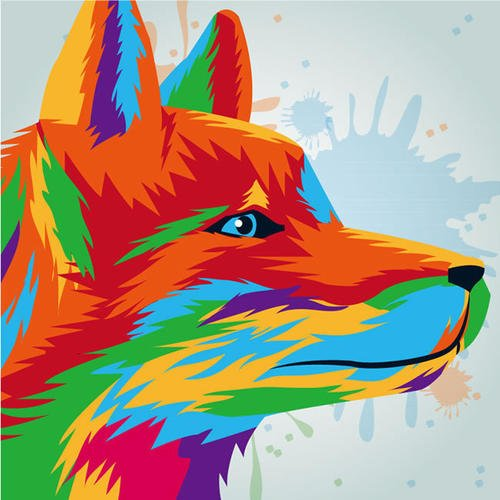 夜貓子信息網-生活知識百科|生活常識大全|生活小竅門