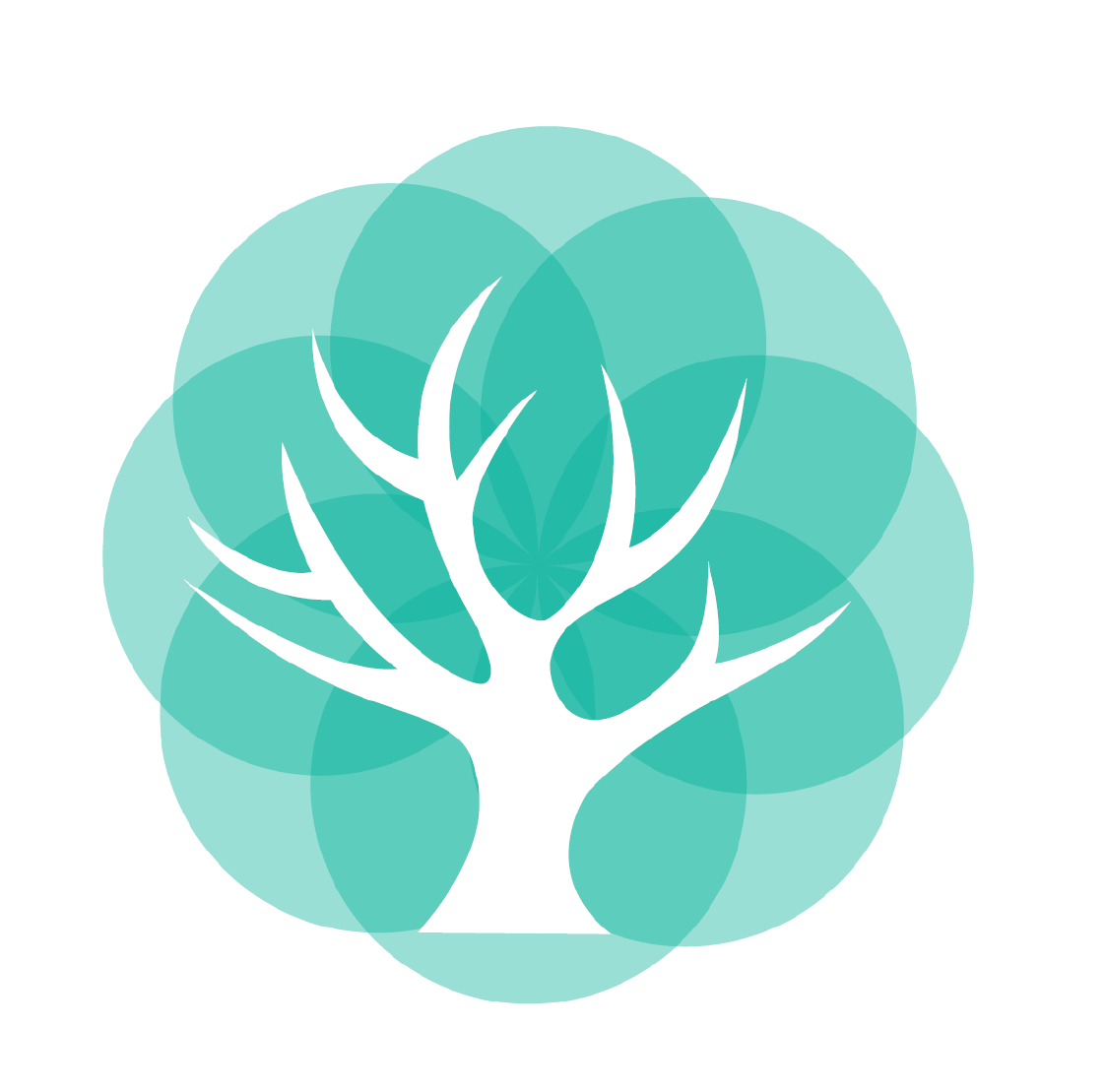 首頁 - 無錫青木信息科技有限公司