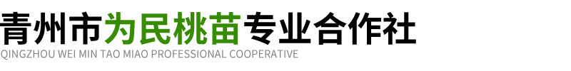 青州市為民桃苗專業合作社-主營山東晚熟桃苗_桃苗批發_新品種桃苗