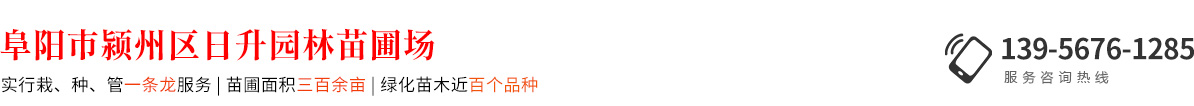 阜陽市潁州區日升園林苗圃場