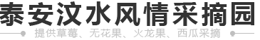 泰安草莓采摘-泰安汶水風情采摘園
