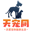 寵物狗,寵物貓,寵物知識大全_太寵網