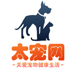 寵物狗,寵物貓,寵物知識大全_太寵網