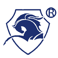 安全爬梯_安全梯籠_梯籠廠家_蓋梁平臺-廣東騰盛模架科技有限公司