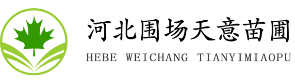 河北圍場天意苗木基地-專注園林綠化苗木種植與苗木銷售