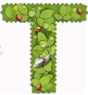 天作國際中心-歡迎訪問！