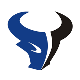 真牛網絡-互聯網服務專家-真牛網絡服務歡迎您