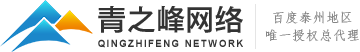 泰州百度公司,泰州青之峰,泰州百度代理,泰州市青之峰網絡科技有限公司