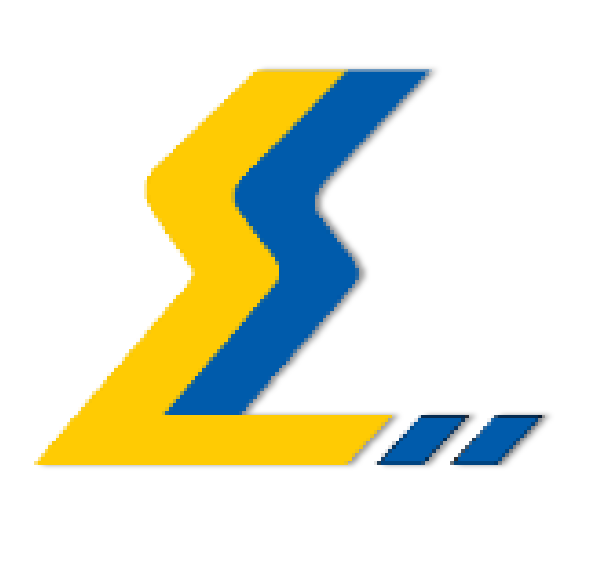 勝利科技-政務領域專業服務企業