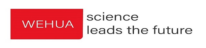 深圳市維華發展股份有限公司