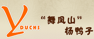 南充市名特正宗楊鴨子（舞鳳山楊家聯楊鴨子），味道巴適