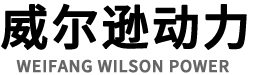 濰坊威爾遜動力設備有限公司-