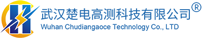 武漢楚電高測科技有限公司
