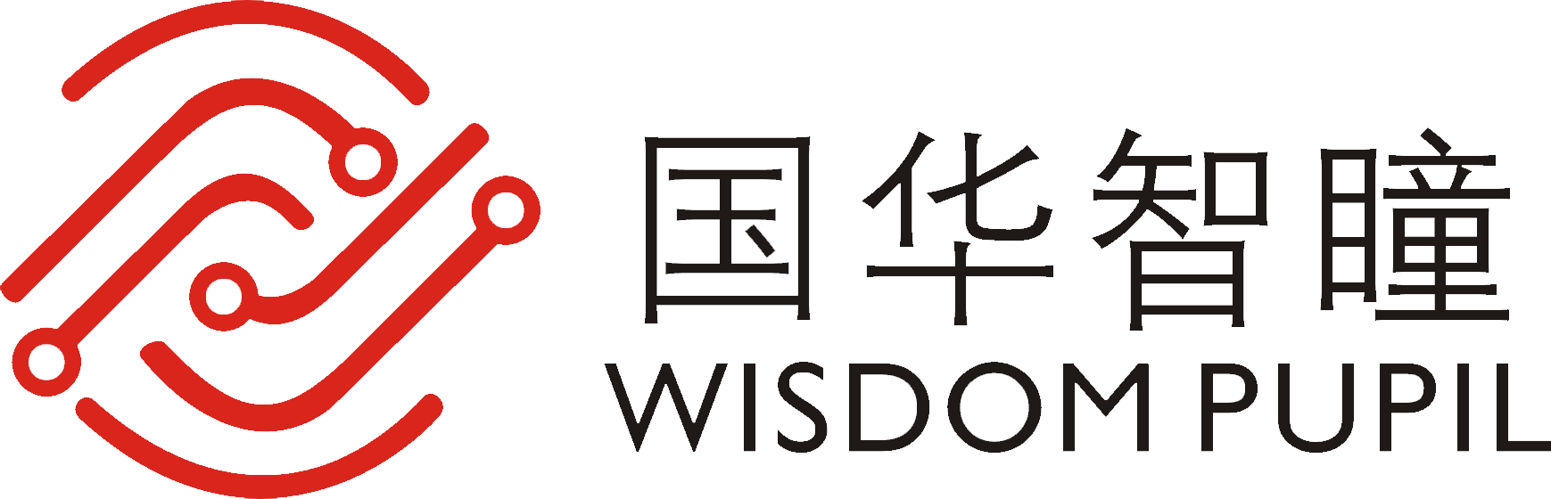 國華智瞳數字科技