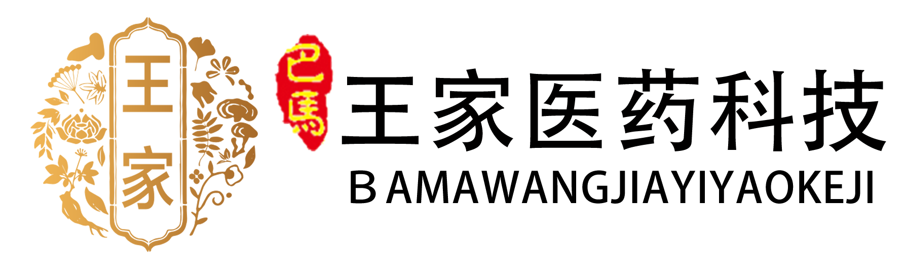 首頁-廣西巴馬王家醫藥科技有限責任公司