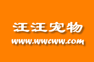 寵物知識個人分享-汪汪寵物_寵物大全_寵物知識_寵物醫療_寵物常識