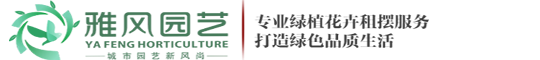 西安綠植租擺,西安花卉租擺,西安綠植租賃,綠植租擺,綠植租賃,辦公室綠植租擺—西安雅風綠植租擺