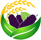 貴州好桑糧農業發展有限公司