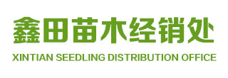 穆棱市八面通鑫田苗木經銷處