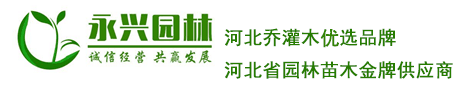華北地區苗木批發市場-北方大型苗木花卉種植基地-河北保定永興園林-