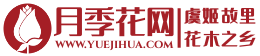 月季花網-樹狀藤本大花苗-月季知識分享網站-月季苗批發基地