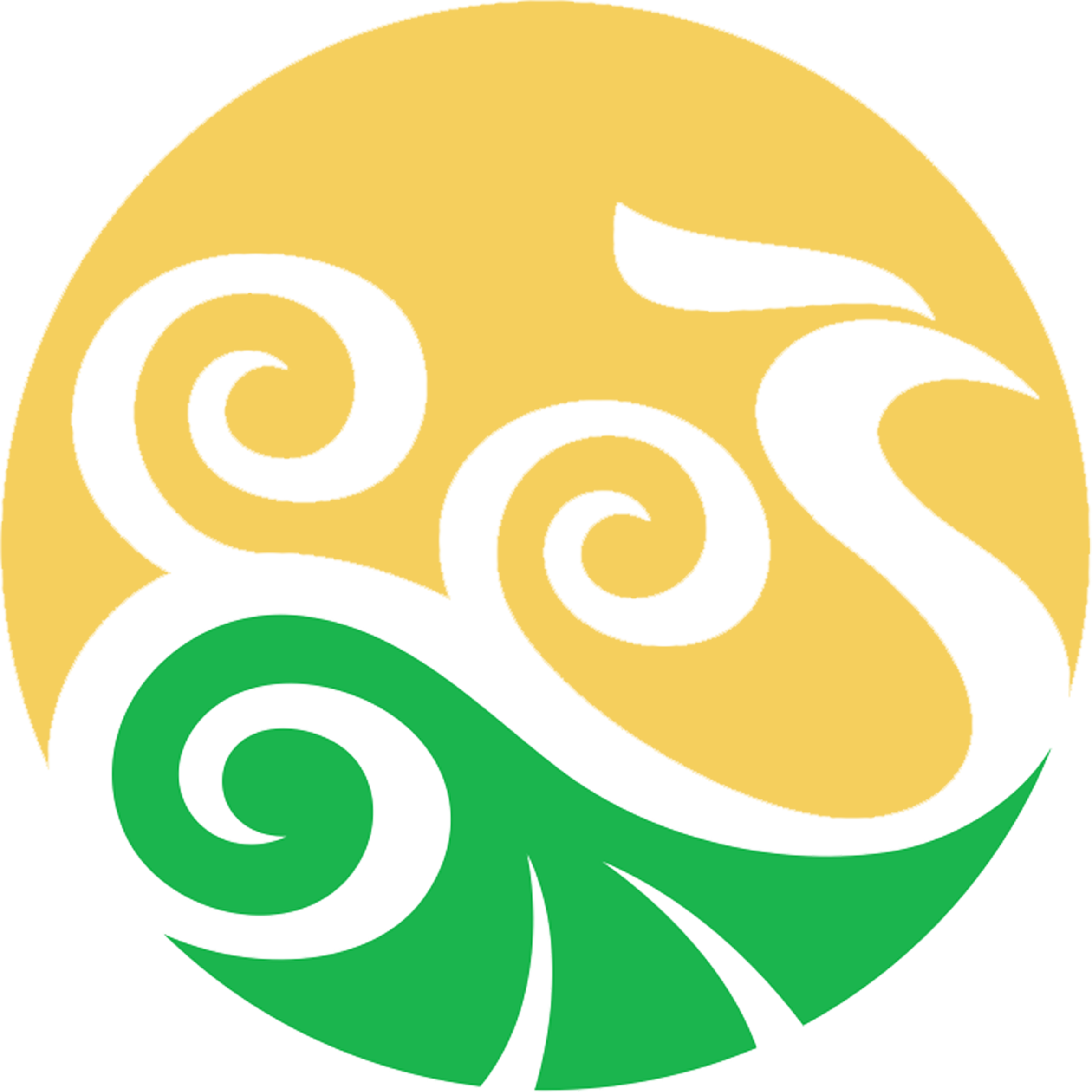 【官網】湖北云燁醫藥科技有限公司-專注于藥品和器械的代理和總經銷-銀杏葉滴丸-湖北銀杏葉滴丸