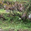 中國壓鑄網(www.yzw.cc)專注于壓鑄企業產品、品牌宣傳服務的行業媒體。提供最新壓鑄行業會議展會資訊、壓鑄采購商機、壓鑄企業名錄、人才招聘，原材料報價、網站建設及廣告合作