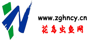 中花論壇 -  Powered by Discuz!