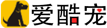 愛酷寵網-愛酷寵物分享狗狗美容護理狗狗訓練教程