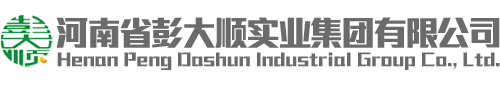 全自動豆腐皮機_小型豆腐皮機_豆腐皮機價格_干豆腐機價格_彭大順機械
