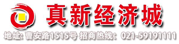 上海真新經濟城有限公司