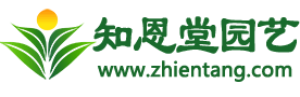 知恩堂園藝 - 你身邊的養殖和種植技術專家