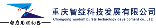 重慶智綻科技發展有限公司