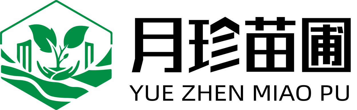 南京月珍苗圃常綠_樹苗_種植基地官網