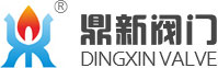 浙江鼎新閥門有限公司