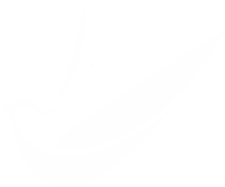 信鴿足環號查詢系統分享，賽鴿成績查鴿網址分享-網址導航