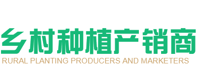 鄉村種植產銷商